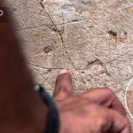 Israel: Hallan iglesia de 1.500 años con dibujos de cristianos que seguían los pasos de Jesús