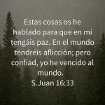 JUAN 16:33