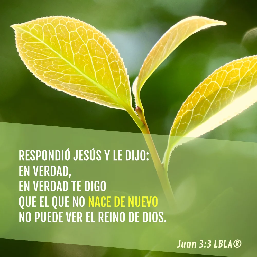 Juan 3:3