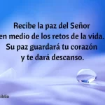 Recibe….