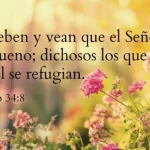 Salmo 34:8