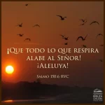 Alaba a DIOS…..