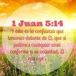 1 JUAN 5:14