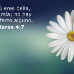 Cantares 4:7