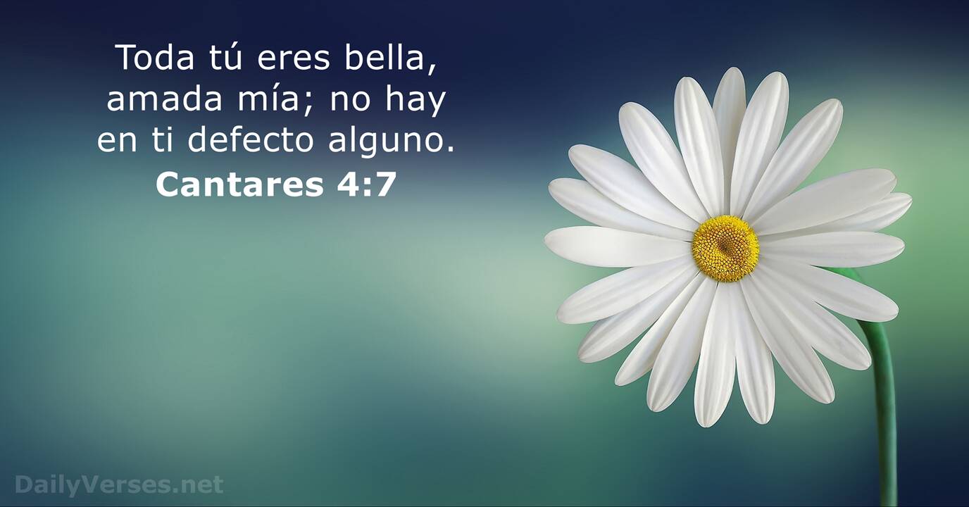 Cantares 4:7