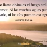 Cantares 8:6-7