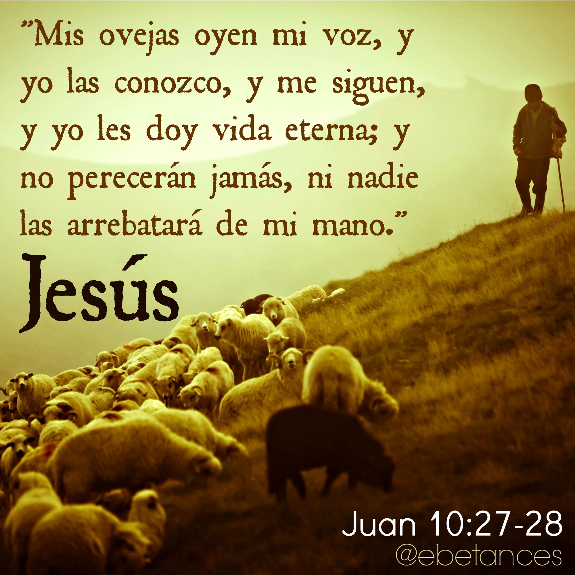  Juan 10:27-28