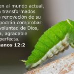 Romanos 12:2