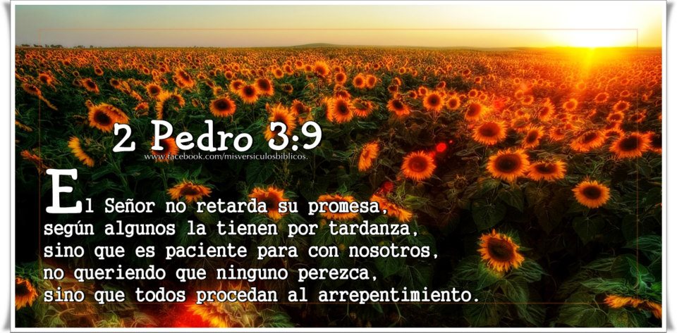 2 pedro 3:9