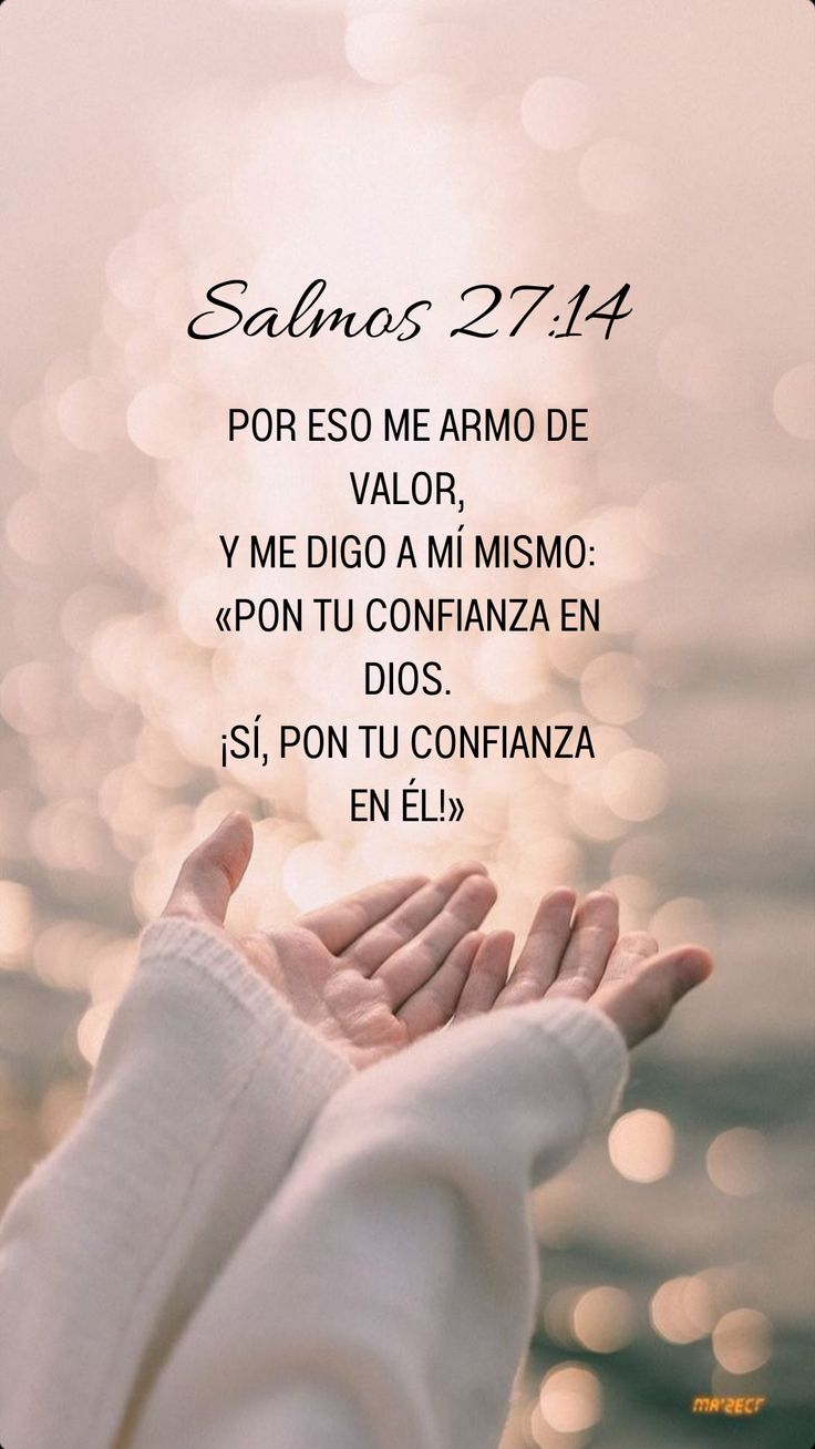 Salmos 27:14