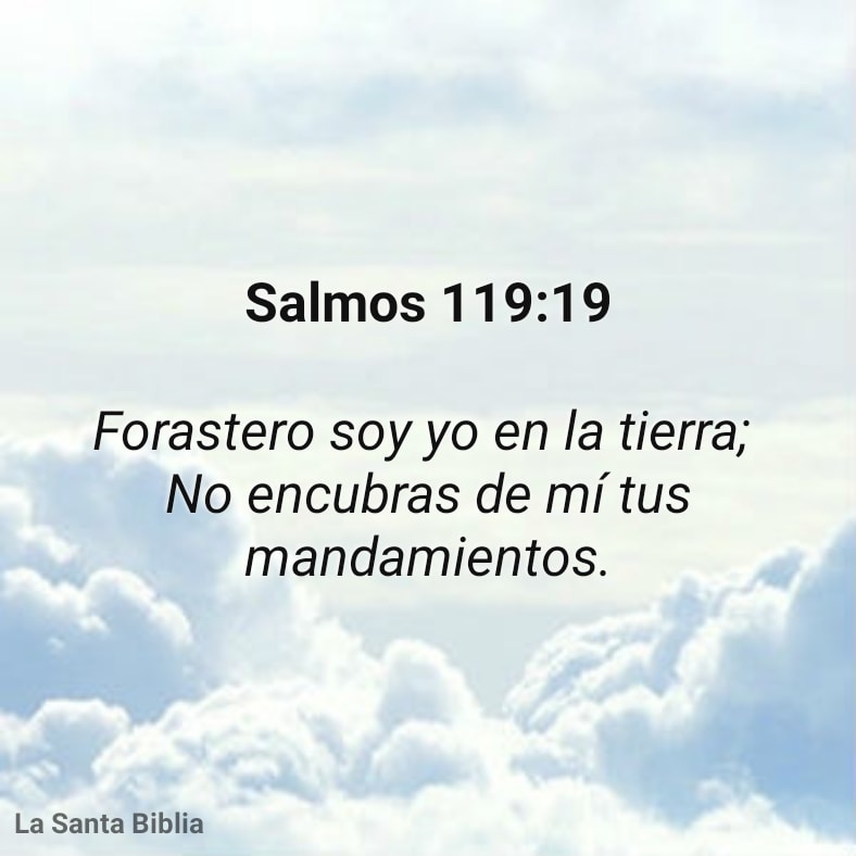 salmos 119: 19