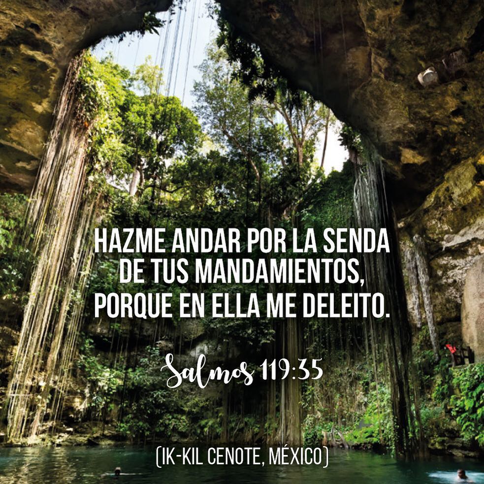 Salmos 119:35