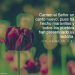 Salmo 98:1-2