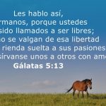 Gálatas 5:13