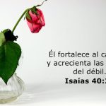 Isaías 40:29