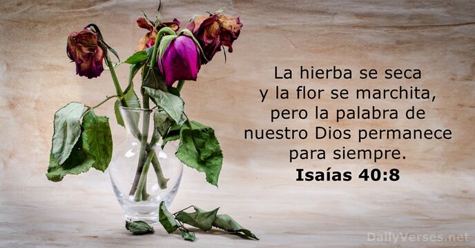 Isaías 40:8