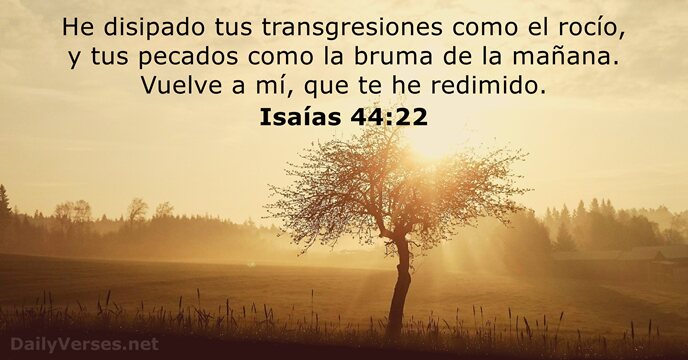 Isaias 44:22